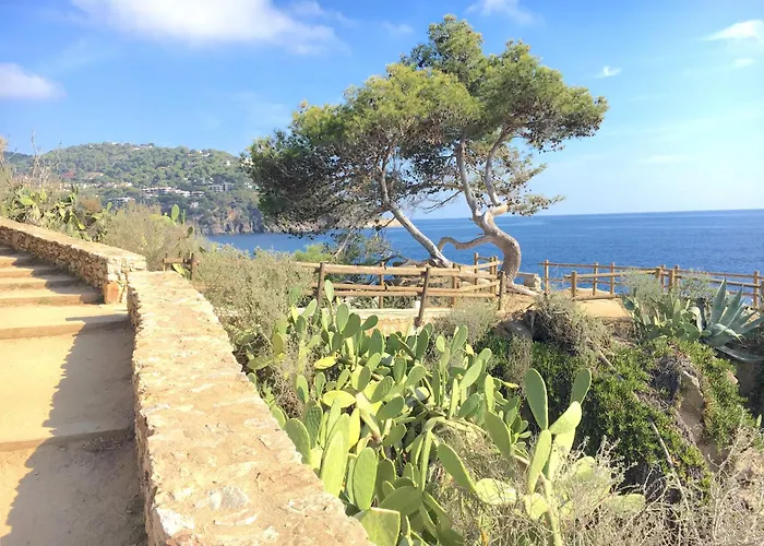 Cb E-3 - Calella de Palafrugell